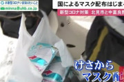 【北海道】マスクが届いた！国による配布始まる とりあえず1パック7枚入り　貴重品マスク 受け取った人も感激