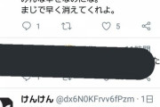 【悲報】欅坂ヲタ、テラハ出演の木村花さんを自殺に追い込んでいたことが判明...