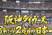 【速報】阪神タイガース、38年ぶり2度目の日本一！！！！！