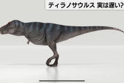 【悲報】令和最新版ティラノサウルスさん、公開されるｗｗｗｗｗｗｗｗｗｗｗ