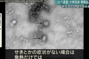 【ニュース】武漢から帰った2人「検査受けません」国民「死ね」「消えろ」「ゴミ」2人「やっぱ検査受けます…」
