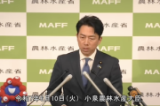 【動画】小泉農水相、レスバ鬼つよで草　会見で厄介なフリー記者を一蹴　※構文不使用