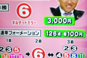 【競馬】ビタミンSのお兄ちゃん、3連単、的中！！！