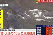 【悲報】千葉県館山でクジラが何頭も打ち上げられる