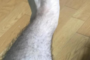 ワイ、足が毛深すぎて咽び泣く