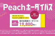 【朗報】peachさん、1ヶ月19800円で飛行機乗り放題券を販売してしまうｗｗｗｗｗｗｗｗｗｗ