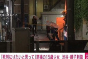 【速報】中3女子「死刑になりたかった」