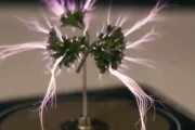 「ミニ稲妻が発生してる…」植物にテスラコイルで電気を流した実験