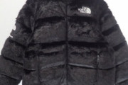 ワイ、あえて量産型になりたくてノースフェイスのダウンジャケットを購入する