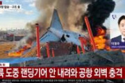 【地獄】韓国旅客機を粉砕した務安空港の“デスウォール（死の壁）”、設置された経緯がヤバすぎると話題に