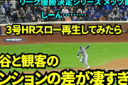 【悲報】大谷翔平さん、メッツファンから「お前のカジノのボスは誰だ？w w」と野次される…