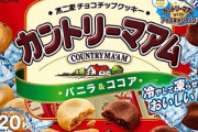 カントリーマアムのココアの存在価値ｗｗｗｗｗｗｗｗｗｗｗｗｗｗｗｗ