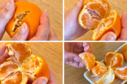 最強のみかんの剥き方、コレに決まる🍊