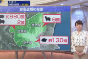 群馬県などで家畜が相次いで盗まれた事件にベトナム人ら19人が関与か　ネットでは「やっぱりね」「二度と来るな」と厳しい声