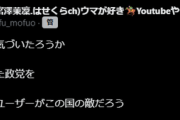 まりん「察しのいい人は気づいたろうか。急に叩かれ出した政党を。そのメディアとユーザーがこの国の敵だろう」