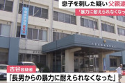 息子を包丁で刺したとして殺人未遂容疑で76歳父を逮捕「暴力に耐えられなくなった」
