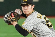 【悲報】阪神、中野をコンバートさせた結果まともなショートが誰一人居なくなる