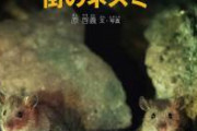 【画像】お姉ちゃん29歳が飼ってるドブネズミｗｗｗｗｗｗｗｗ