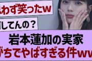 岩本蓮加の実家がやばすぎたwww【乃木坂46・乃木坂工事中・乃木坂配信中】
