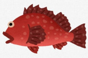 【画像あり】「ヒオドシ」とかいう魚ｗｗｗｗｗｗ