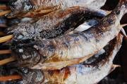 魚の丸焼きを見るとどうしても「死体」に見えてしまって食べられない。