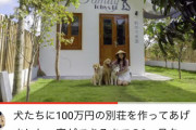 【悲報】ベトナムの富豪YouTuber、100万円の犬小屋を建ててしまうwxywxywxywxywx（※画像あり）