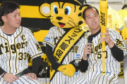 阪神・青柳　山本昌シンカー春季Ｃ第１クールから「試す」　開幕投手も意欲