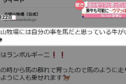 【悲報】自分を完全に馬だと思い込んでいる牛くんが見つかる…