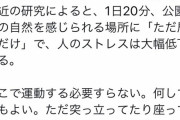 【画像】ストレスでどうにかなりそうなお前、今すぐ公園に行け　今すぐにだwww