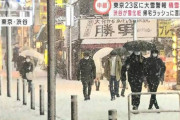 雪国民「10cm程度で積雪とかｗ」東京民「#雪マウント 覚悟しろ！」