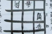 詰将棋趣味ってどう思う？