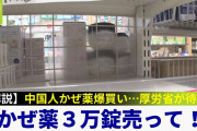 【コロナ禍】中国人「私たちが日本で買い占めたい"12の神薬"を教えてあげます」←これ?