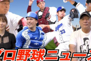 【画像14枚】プロ野球の球団を応援する水着ガール一覧を発表(一部)