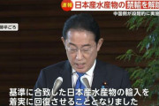 日本産水産物の禁輸を解除へ　中国側が段階的に実施と発表　中国産魚介類の価格も上昇　“海鮮離れ”に不満も