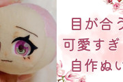 どの角度でも目が合う！自作ぬいの可愛すぎる目が神業で「これはどういう原理なんだ」