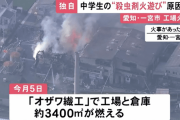 【悲報】中学生が蜂の巣に殺虫剤火炎放射したところ工場丸焼けに