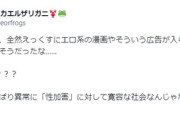 ツイッター女子「日本は韓国よりも性犯罪に寛容な国だ」→6万いいね