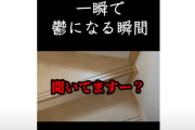 夫「休日が一瞬で鬱になる」という動画を投稿 → 鬼嫁とのやり取りがマジで地獄すぎて270万再生される・・・