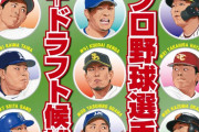 【朗報】 2021年プロ野球12球団それぞれの今年の顔が決まる