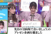 【速報】重大発表！日向坂46×どうぶつピース企画内容が判明！