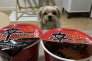 韓国人「日本のカップ辛ラーメンを食べてみた」