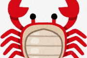 超カッコいい蟹、見つかるｗｗｗｗｗｗｗｗｗｗｗｗｗｗｗｗｗｗｗ