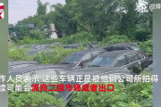 【動画】中国、新車の電気自動車800台超が空き地に5年間放置されている…