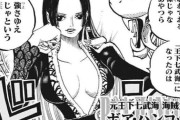 【画像】女帝ボア・ハンコック（31）「王下七武海になったのは強さゆえ」←これ