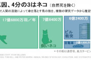 【画像】鳥の死因の75%が猫のせいらしいぞｗｗｗｗｗｗｗｗ