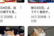 【悲報】被災系YouTuber「アカン！被災して生活ボロボロや…せや！！」