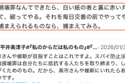 【ビーチフラッグ】前川喜平さん、半年前の宣言通り『国旗損壊毎日チャレンジ』有言実行なるか？（スクショあり）