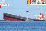 日本「モーリシャス座礁事故は三井が悪い」