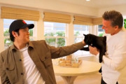 大谷翔平さん、今度は猫動画をアップ