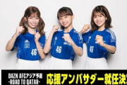 【日向坂46】ツッコミどころ満載のアンバサダーwwww【DAZN AFCアジア予選】